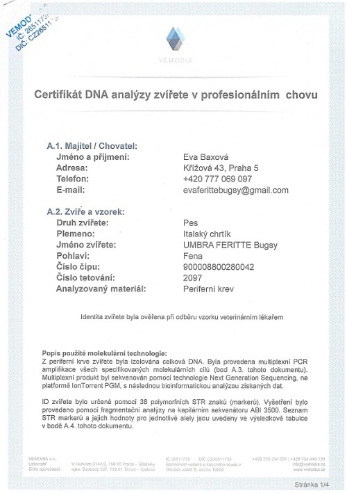 umbra-feritte-bugsy-dna-certifikat-cz.jpg