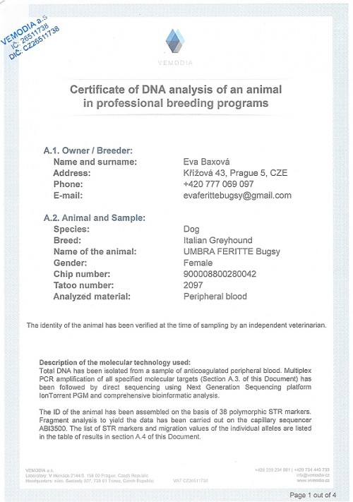 umbra-feritte-bugsy-dna-certifikat-en.jpg