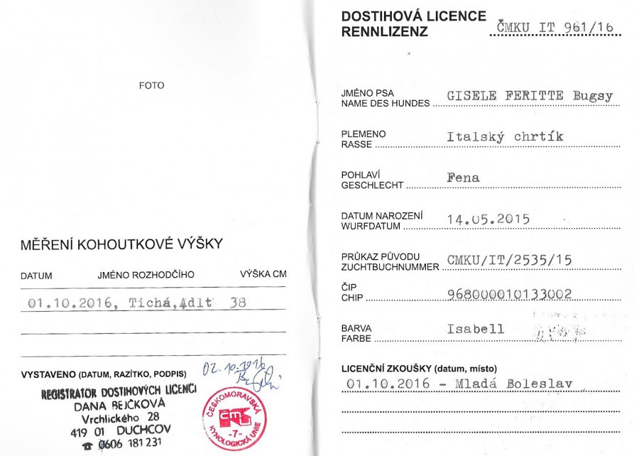 gisele-feritte-bugsy-dostihova-licence.jpg