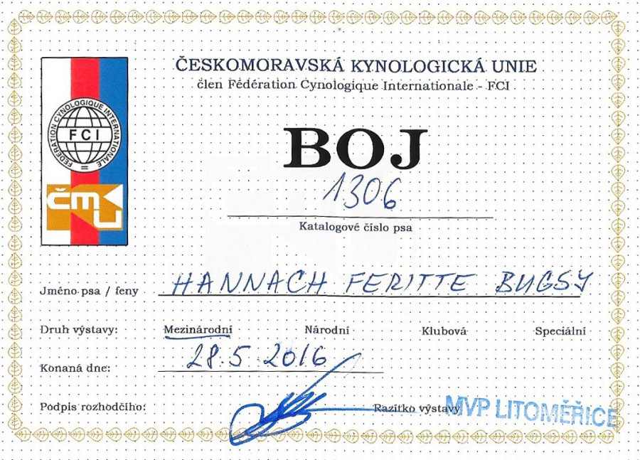 hannach-feritte-boj-cz-2016.jpg