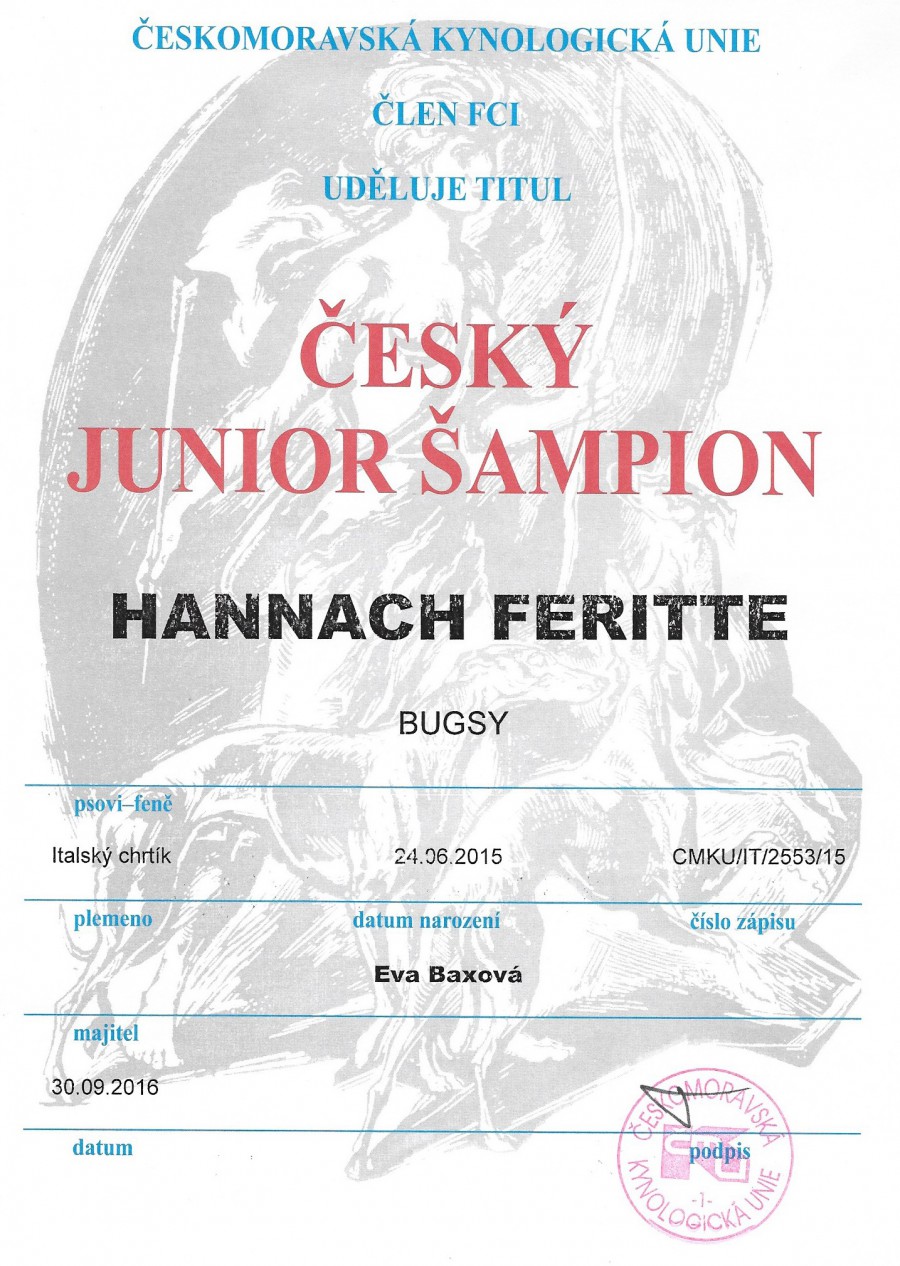 hannach-feritte-bugsy-cesky-junior-sampion.jpg