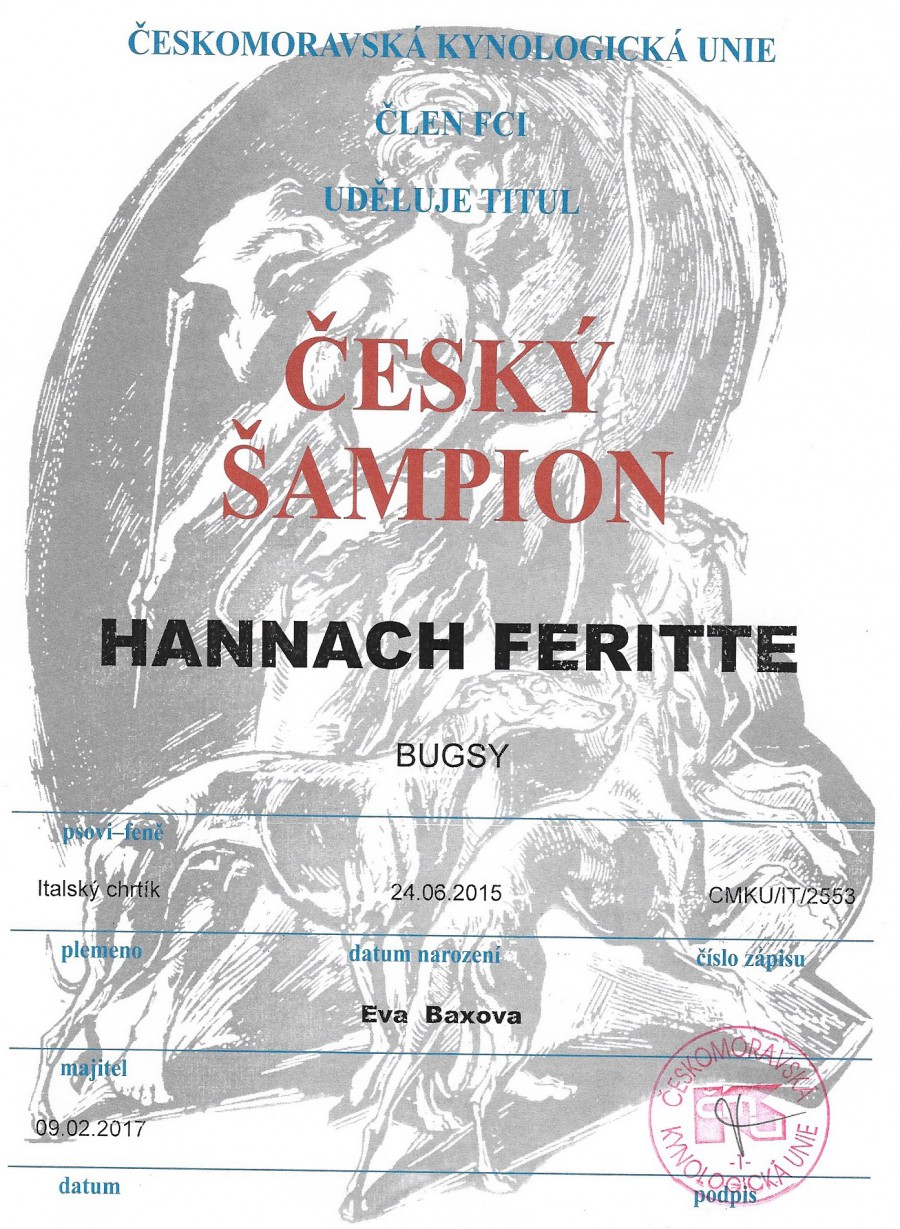 hannach-feritte-bugsy-cesky-sampion.jpg