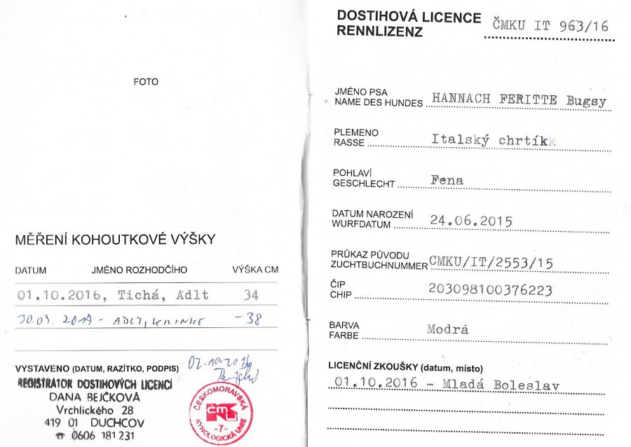 hannach-feritte-bugsy-dostihova-licence.jpg