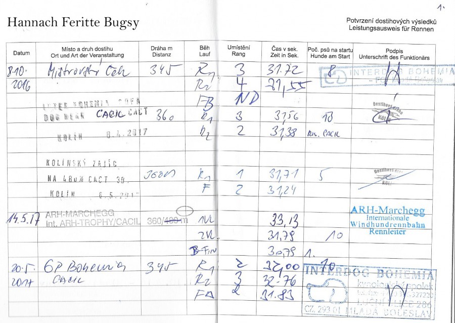 hannach-feritte-bugsy-dostihova-licence-2017.jpg