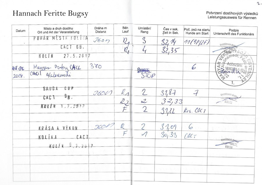 hannach-feritte-bugsy-dostihova-licence-2017-01.jpg