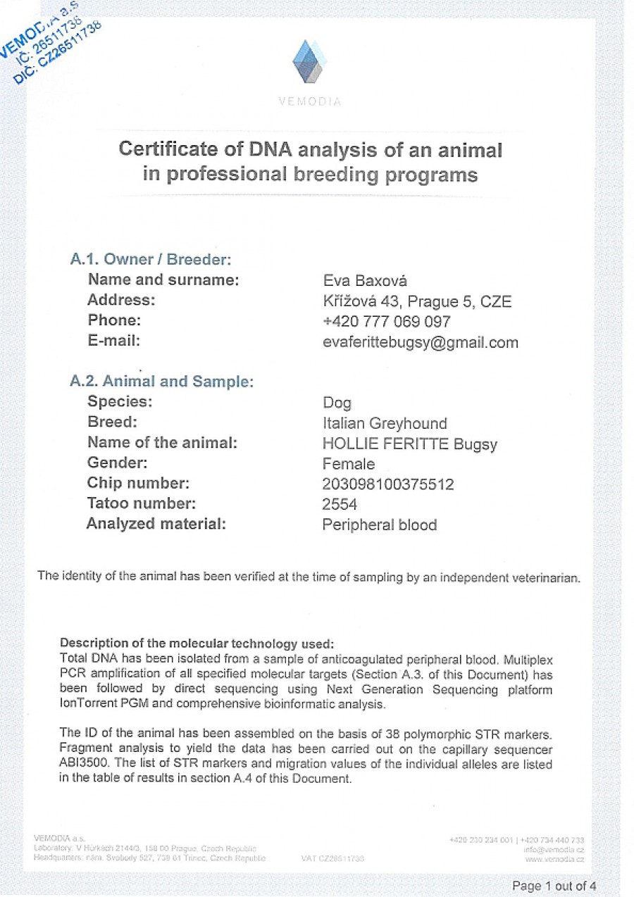 hollie-feritte-bugsy-dna-certifikat-en.jpg