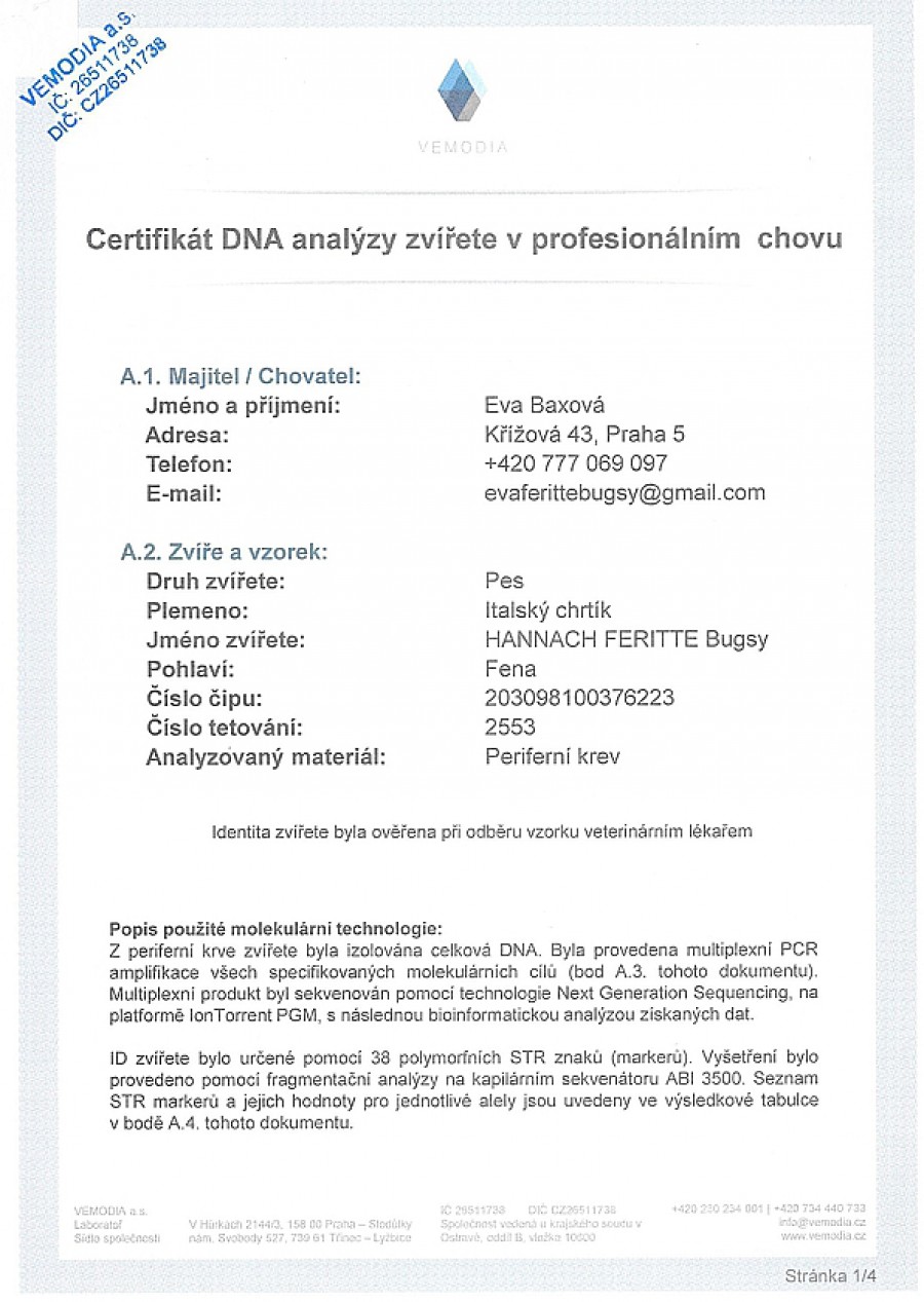 hannach-feritte-bugsy-dna-certifikat-cz.jpg