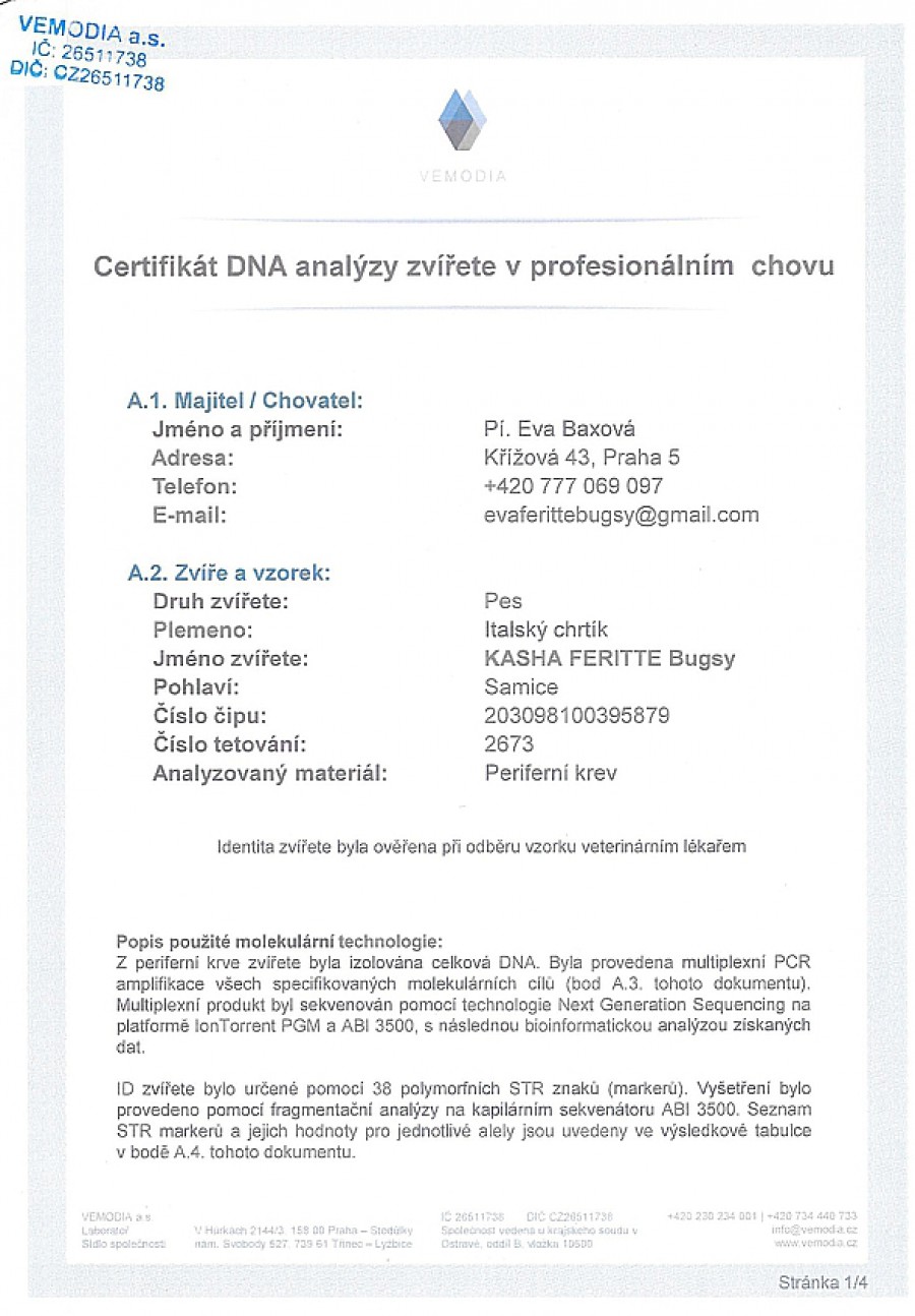 kasha-feritte-bugsy-dna-certifikat-cz.jpg