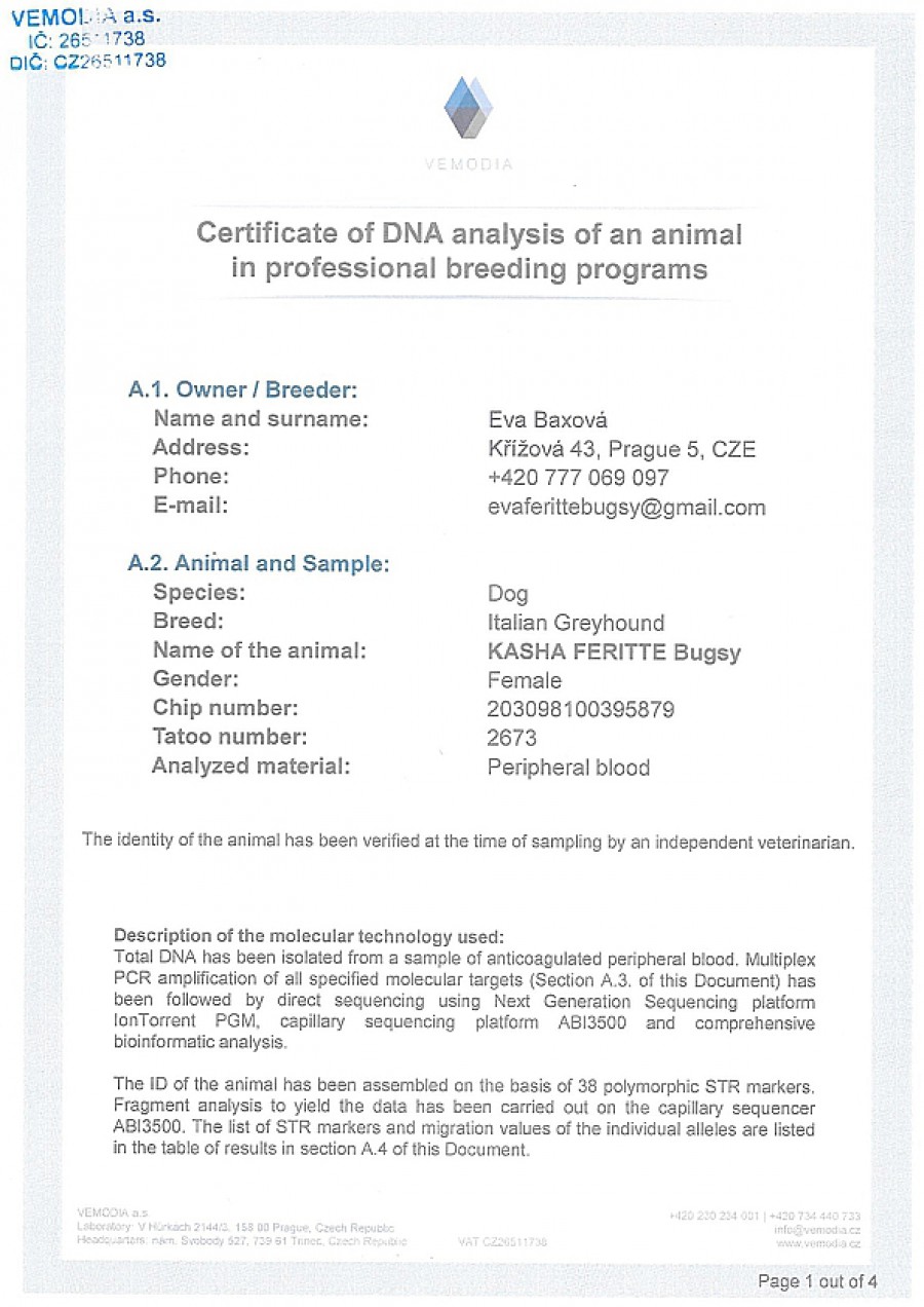 kasha-feritte-bugsy-dna-certifikat-en.jpg