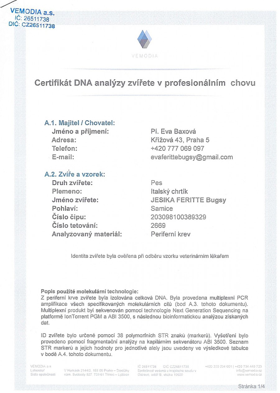 jesika-feritte-bugsy-dna-certifikat-cz.jpg