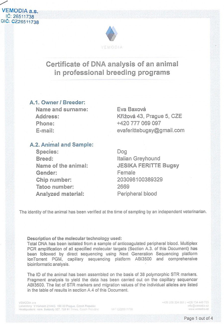 jesika-feritte-bugsy-dna-certifikat-en.jpg