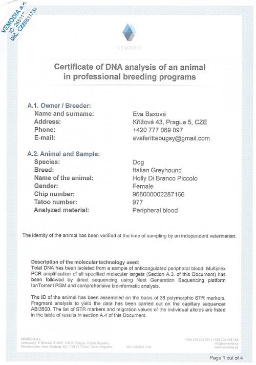 holly-di-branco-piccolo-dna-certifikat-en.jpg