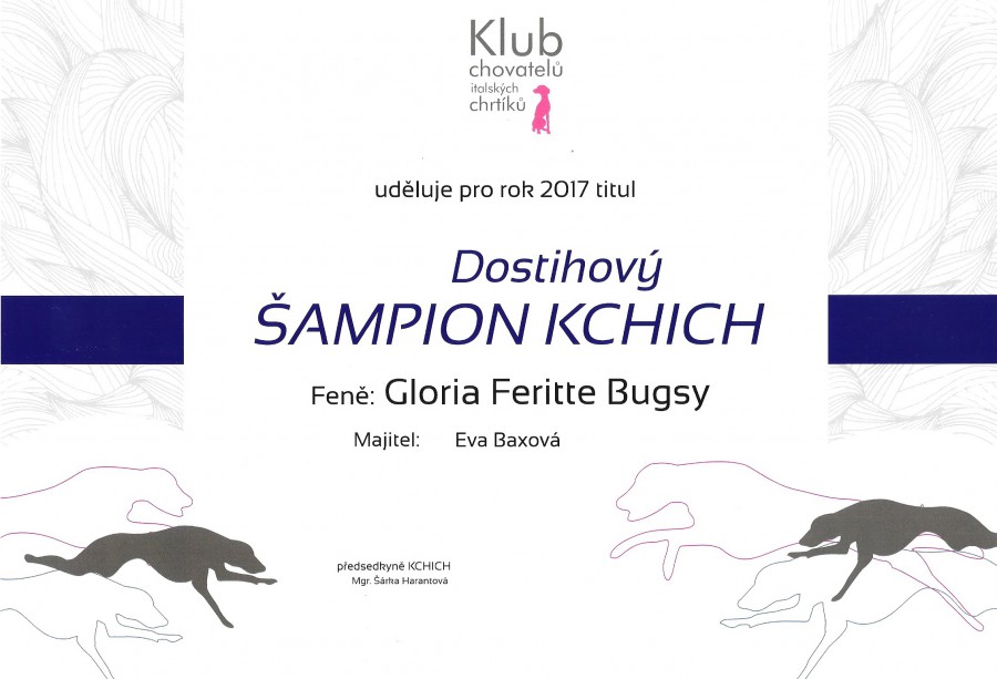 gloria-feritte-bugsy-dostihovy-sampion-klubu-chovatelu-italskyc.jpg