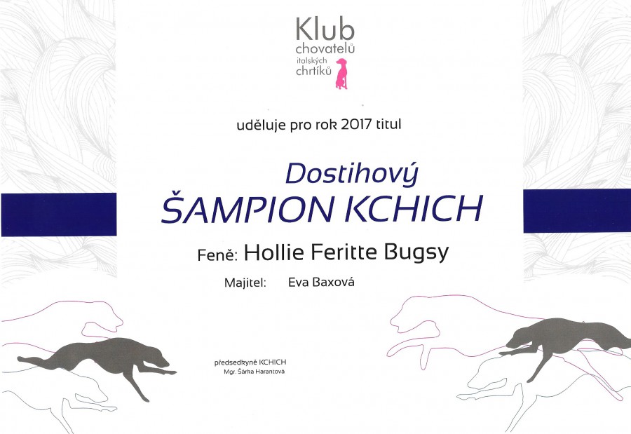 hollie-feritte-bugsy-dostihovy-sampion-klubu-chovatelu-italskyc.jpg