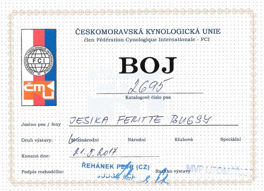 jesika-feritte-bugsy--boj-2.jpg