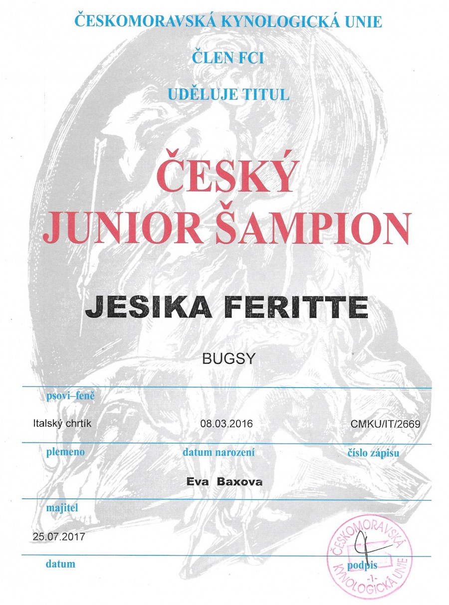 jesika-feritte-bugsy-junior-sampion-cz.jpg