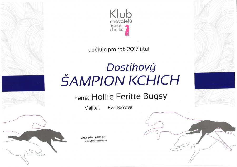 hollie-dostihovy-sampion-kchich.jpg