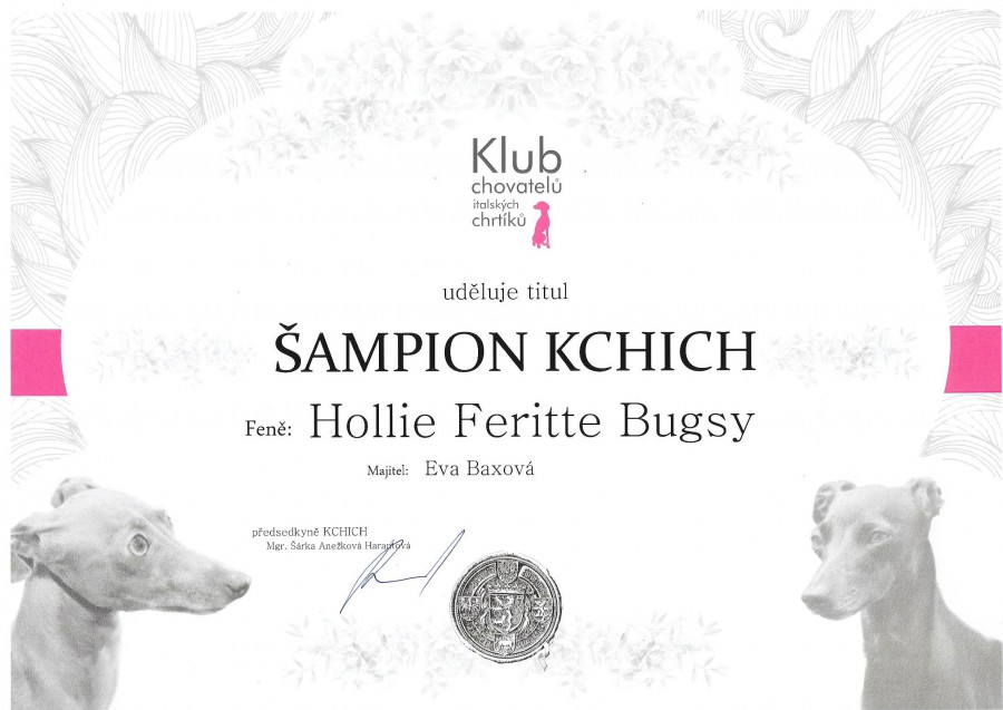 hollie-sampion-kchich.jpg