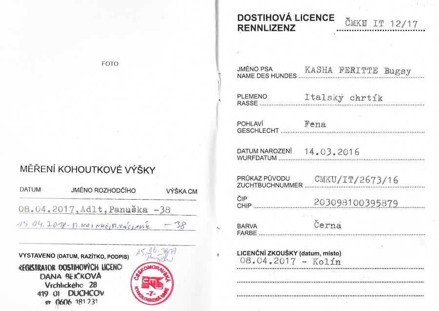 kasha-dostihova-licence-1.jpg