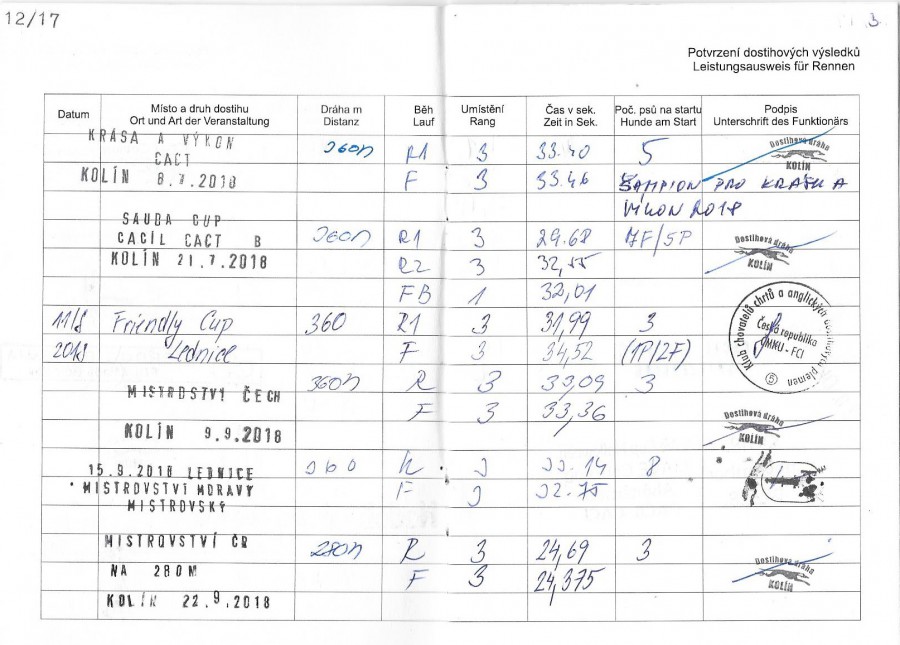 kasha-dostihova-licence-4.jpg