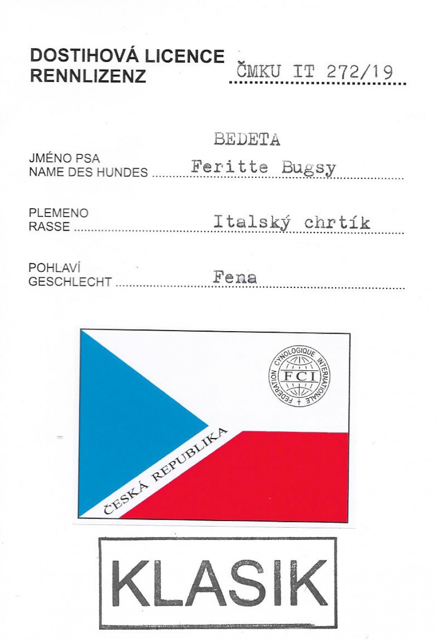 bedeta-feritte-bugsy-licence.jpg