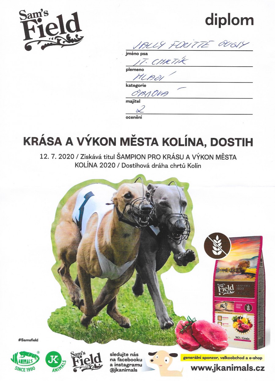 sally-feritte-bugsy-ch.-krasa-a-vykon-mladi-kolin-20200004.jpg