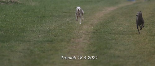 trenink-18.4.2021--424-.jpg