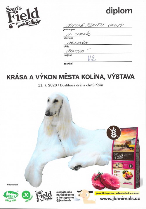 safire-feritte-bugsy-ov-kolin-2020.jpg