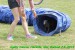 Agility 7.6.2015 Sisi, Caissa, Haralda, Borisek (1)